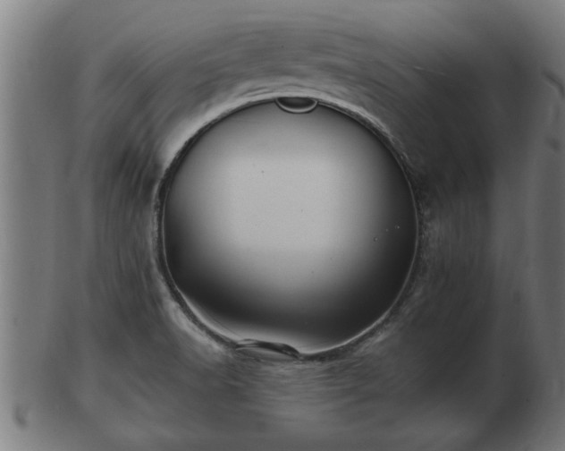 X0000103321518200809121136