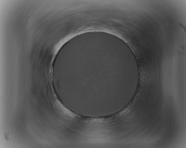 X0000103321519200809121136