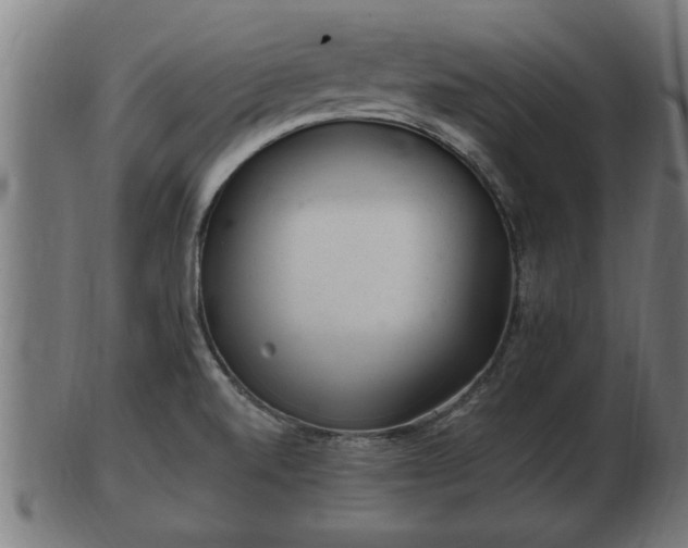 X0000103321520200809121136