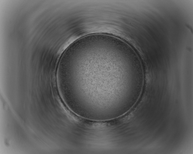 X0000103321521200809121136