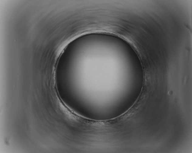 X0000103321524200809121136