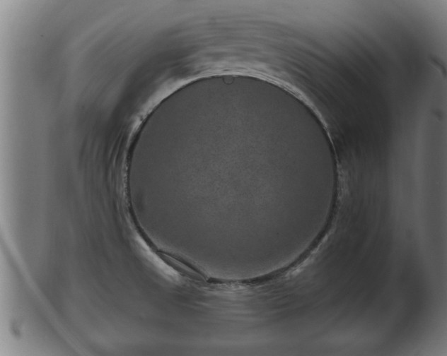 X0000103321525200809121136