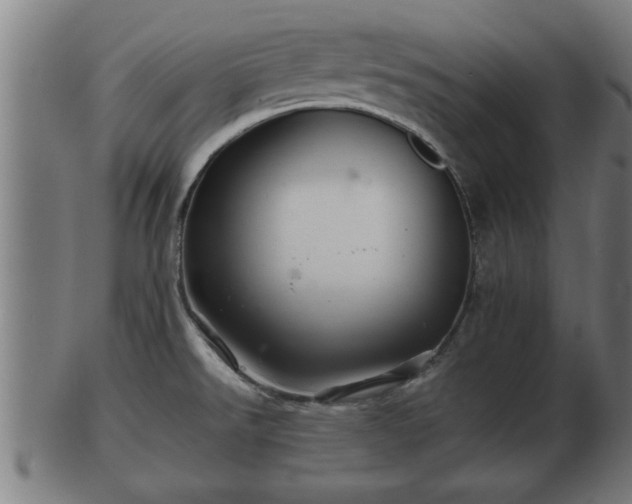 X0000103321526200809121136