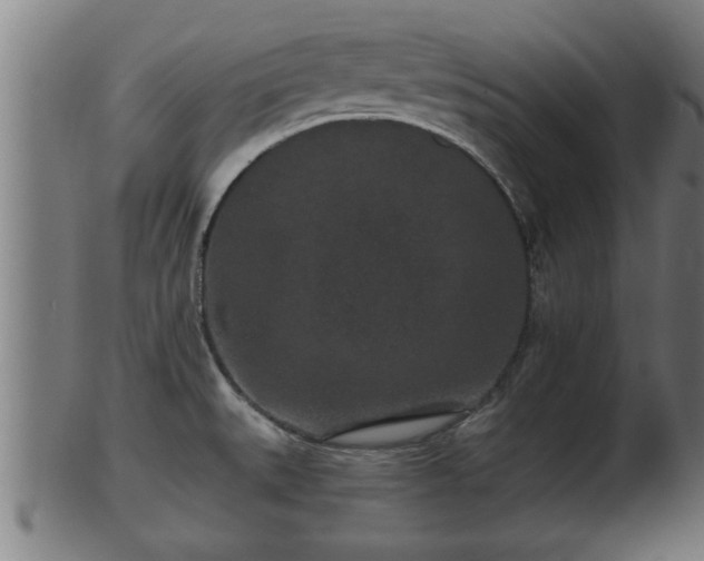 X0000103321527200809121136