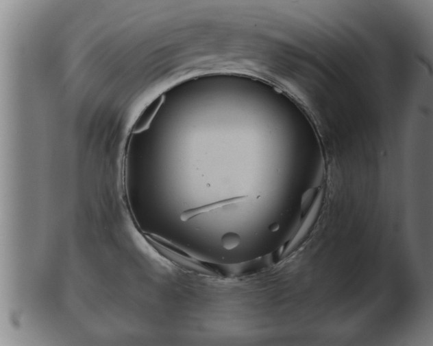 X0000103321528200809121136