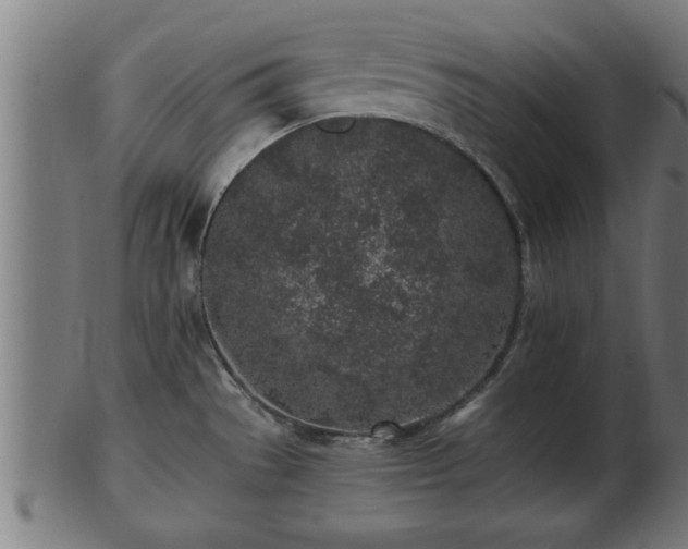 X0000103321529200809121136