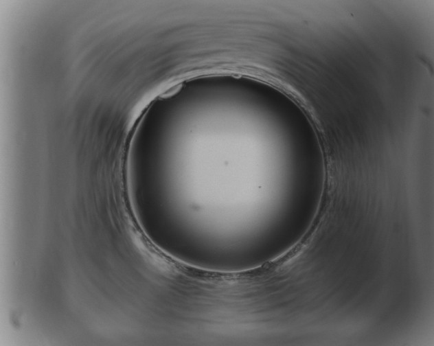 X0000103321530200809121136