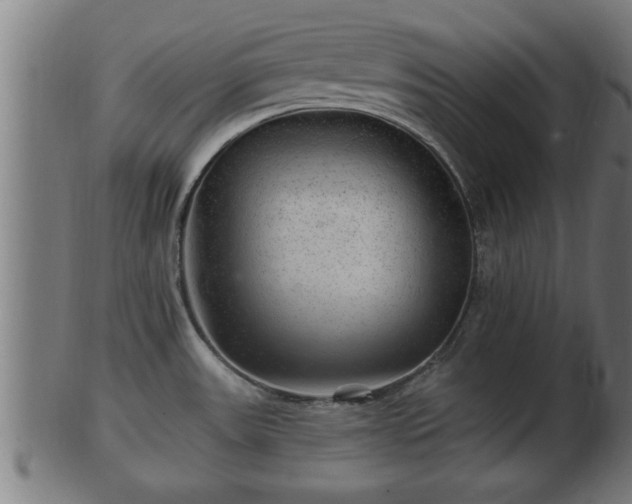 X0000103321531200809121136