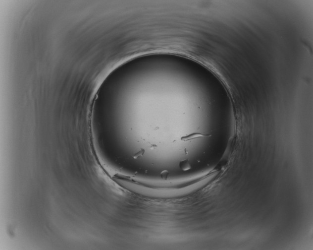 X0000103321532200809121136