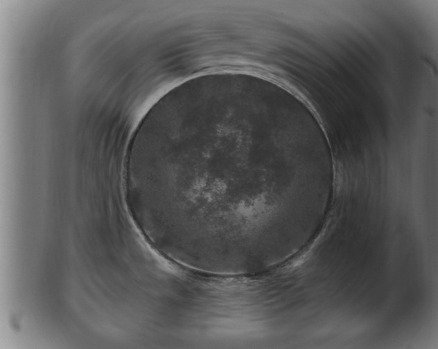 X0000103321533200809121136