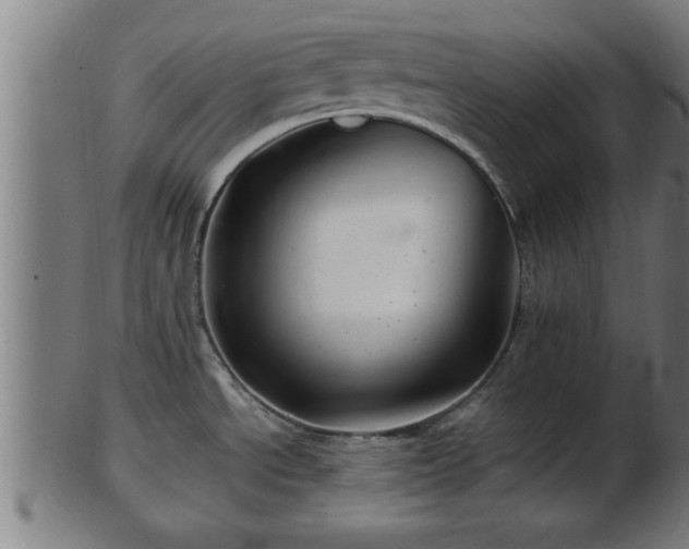 X0000103321534200809121136