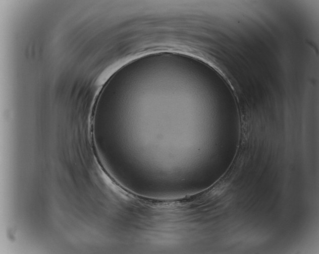 X0000103321535200809121136