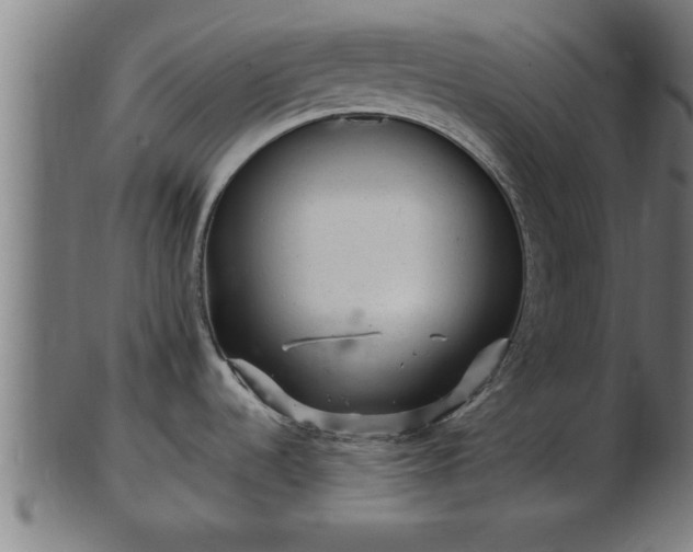 X0000103321536200809121136