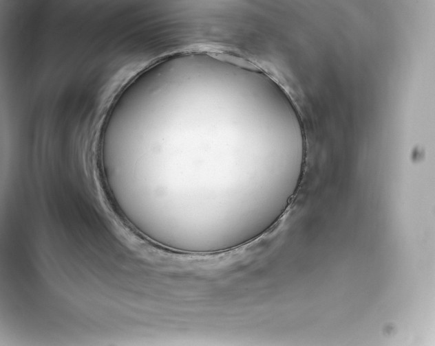 X0000103320001200809192151