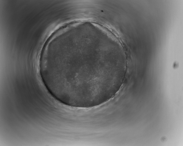 X0000103320002200809192151