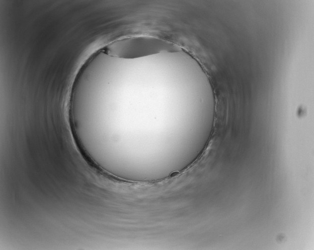 X0000103320003200809192151