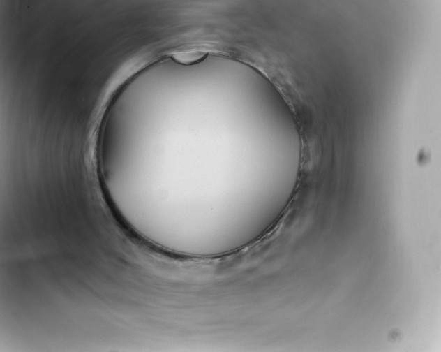 X0000103320004200809192151