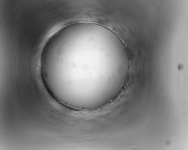 X0000103320005200809192151