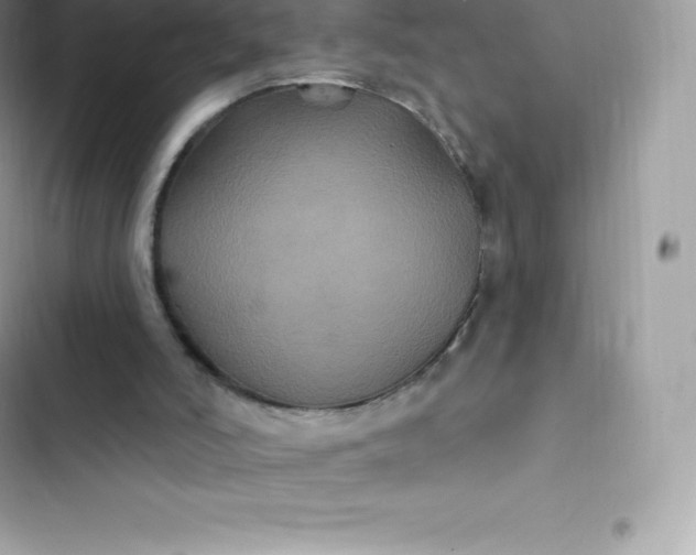 X0000103320006200809192151