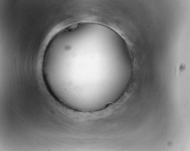 X0000103320007200809192151