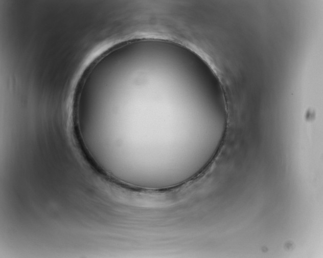 X0000103320008200809192151