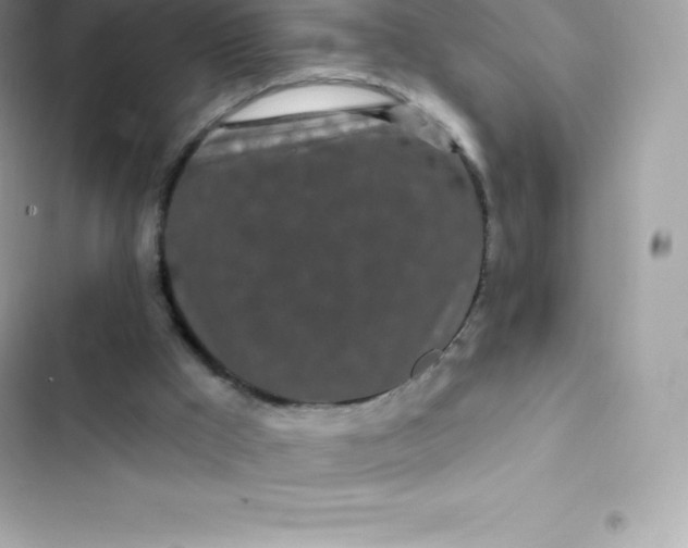 X0000103320009200809192151