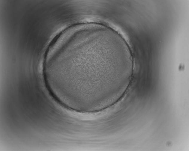 X0000103320010200809192151