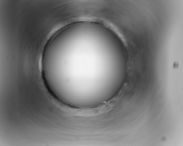 X0000103320011200809192151