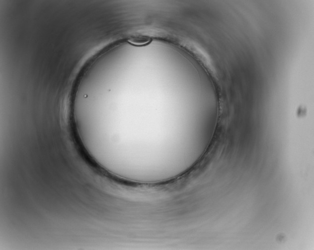 X0000103320012200809192151