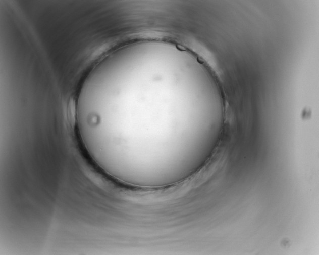 X0000103320013200809192151