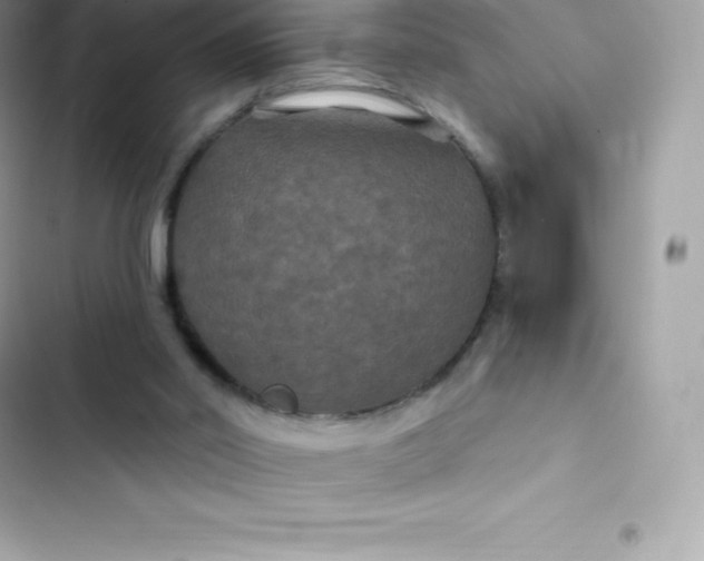 X0000103320014200809192151