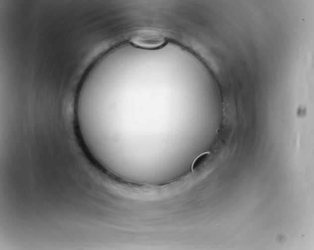 X0000103320015200809192151