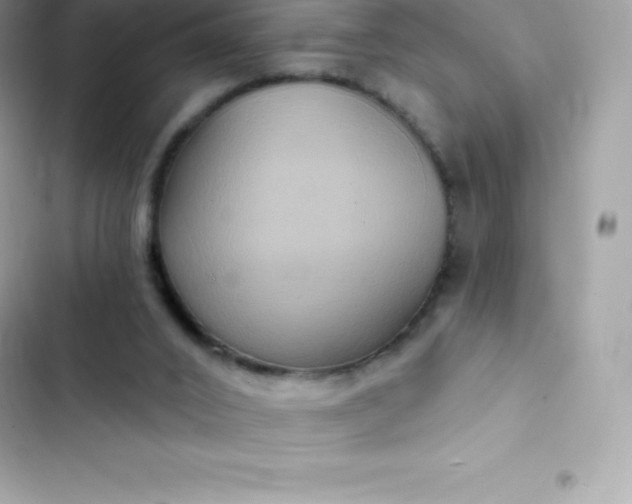 X0000103320016200809192151