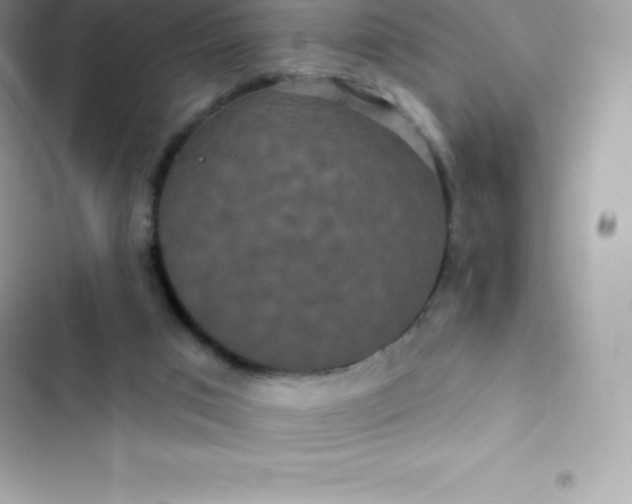 X0000103320017200809192151