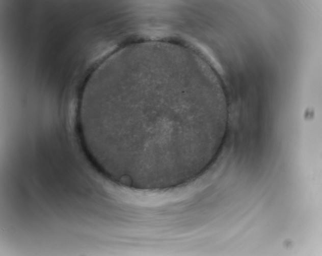 X0000103320018200809192151