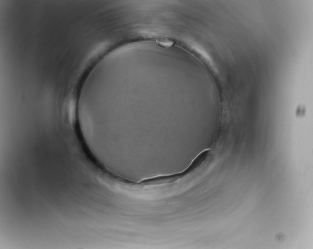 X0000103320019200809192151