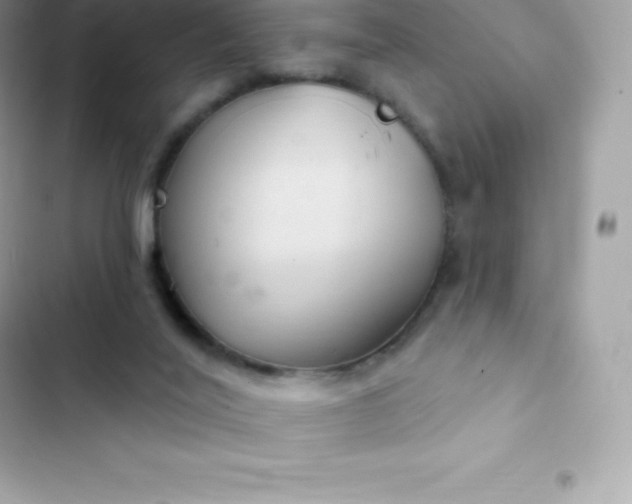 X0000103320020200809192151