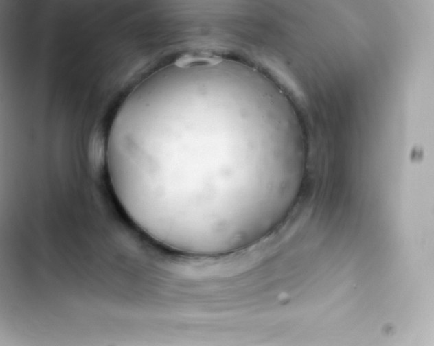 X0000103320021200809192151