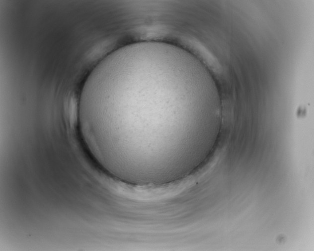 X0000103320022200809192151