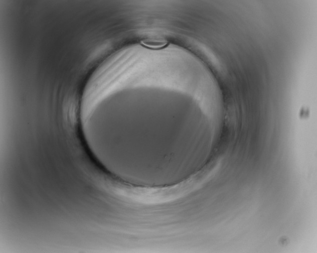 X0000103320023200809192151