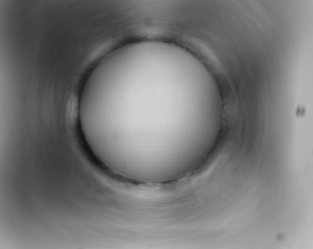 X0000103320024200809192151