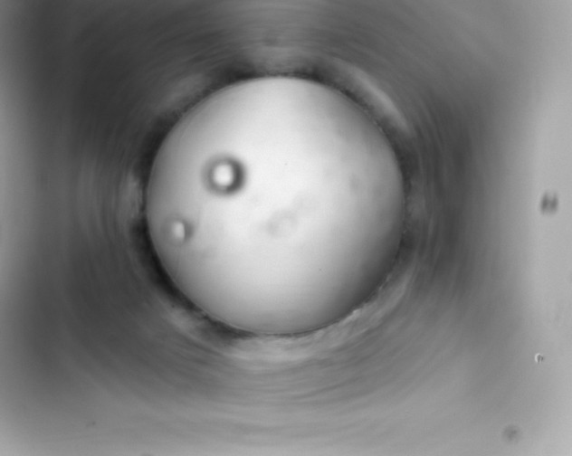 X0000103320025200809192151