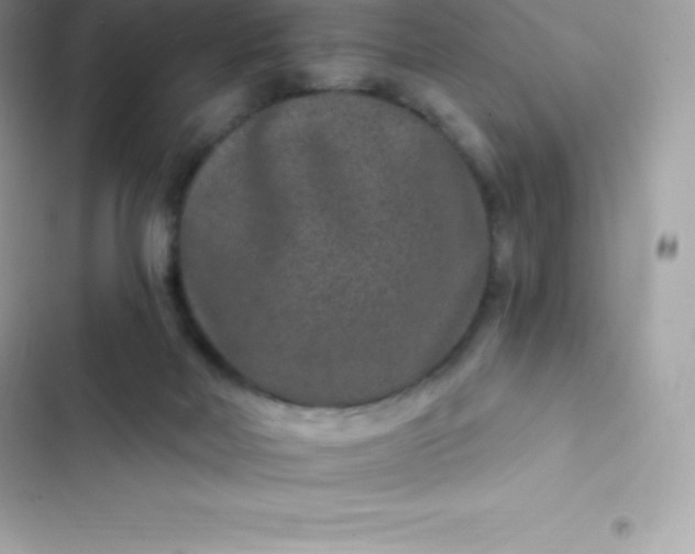 X0000103320026200809192151