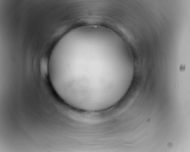 X0000103320028200809192151