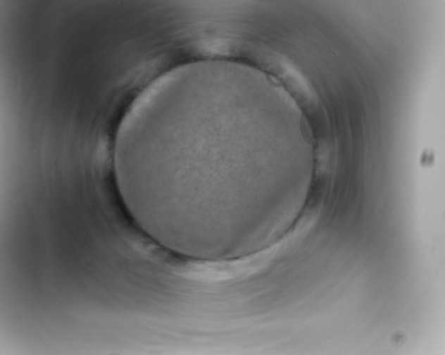 X0000103320029200809192151