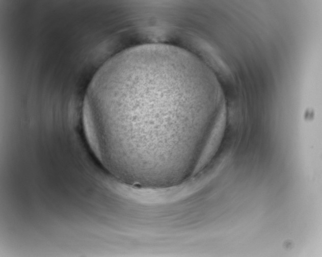 X0000103320030200809192151