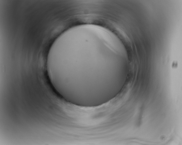 X0000103320031200809192151