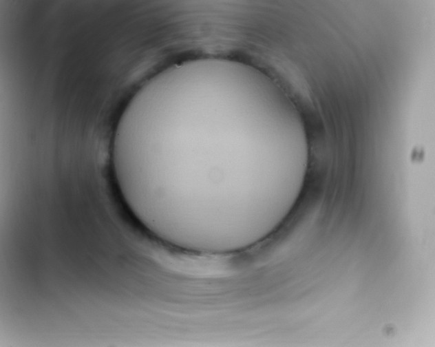 X0000103320032200809192151