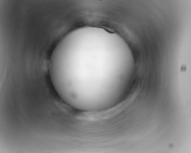 X0000103320033200809192151