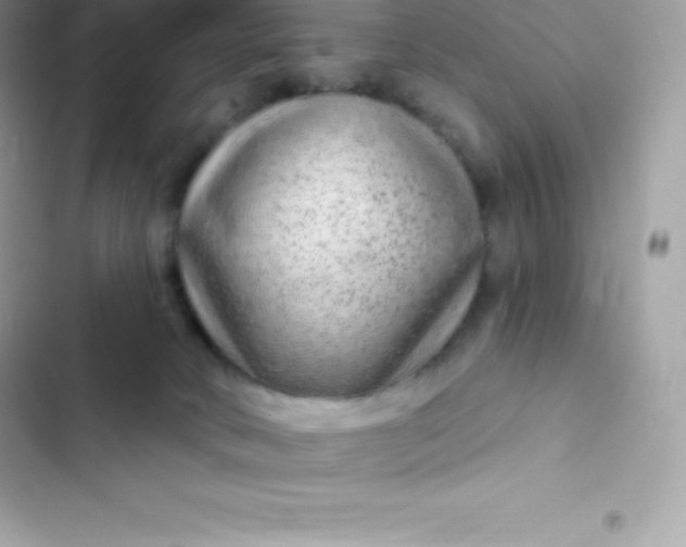 X0000103320034200809192151